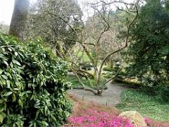 149 PARC ORIENTAL DE MAULEVIER MAINE ET LOIRE 2016 N1_000033